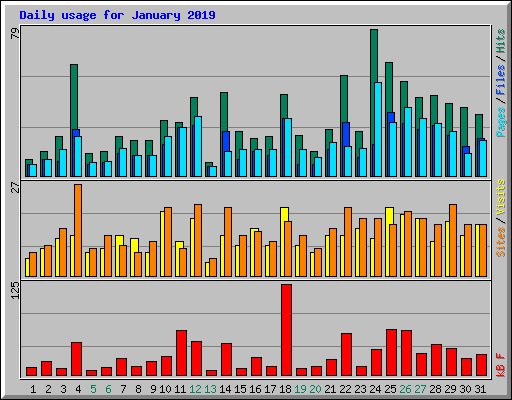 Daily usage for January 2019