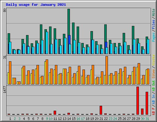 Daily usage for January 2021