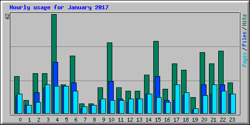Hourly usage for January 2017