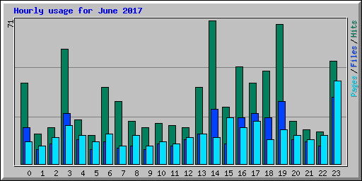 Hourly usage for June 2017