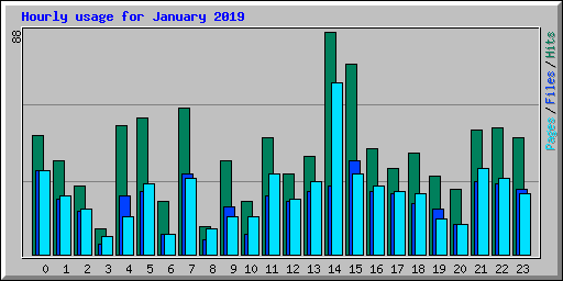 Hourly usage for January 2019