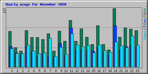 Hourly usage for November 2020