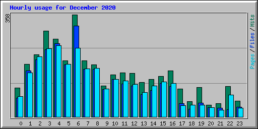 Hourly usage for December 2020