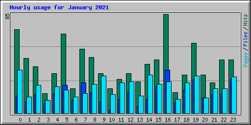Hourly usage for January 2021